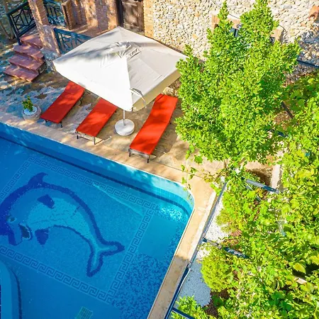 Villa Sarnic - Kayakoey'de Havuzu Korunakli